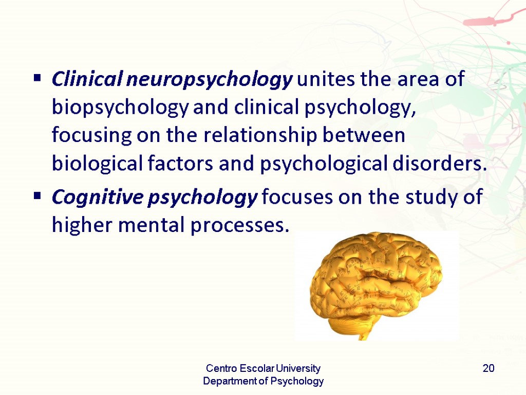 Clinical neuropsychology unites the area of biopsychology and clinical psychology, focusing on the relationship